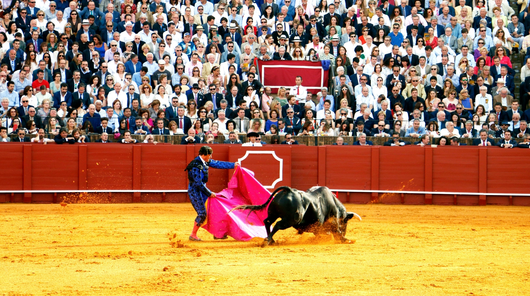 Suspension de l’organisation d’une corrida faute de tradition locale ininterrompue